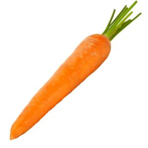 zanahoria 1